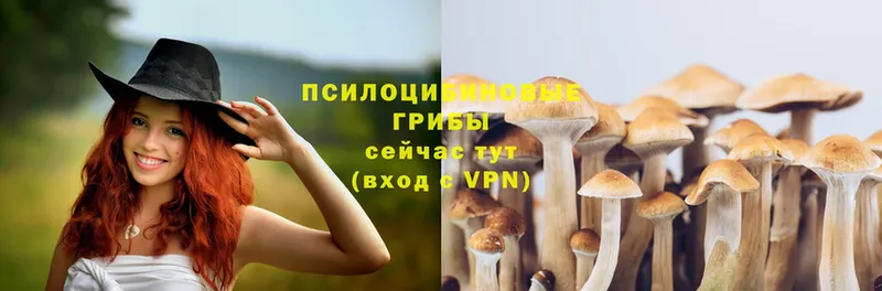 ОМГ ОМГ как войти  как найти   Нахабино  Псилоцибиновые грибы Magic Shrooms 